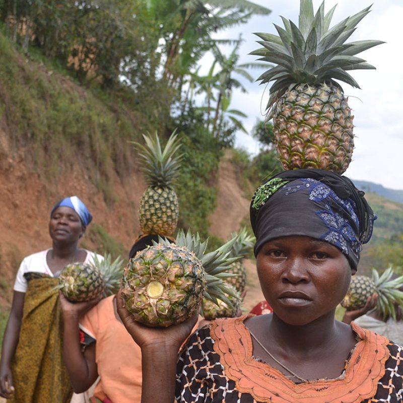 Food-Security